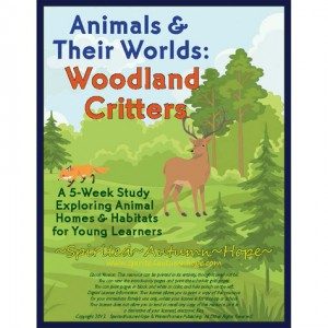 AW_Woodland_Cover_Sq_sm-300x300
