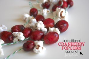 Cranberry-Popcorn-Garland-for-the-birds-Mama.Papa_.Bubba_.