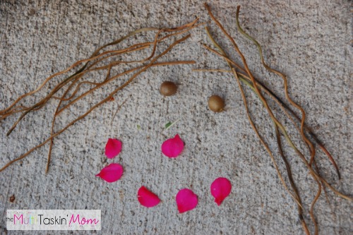 Finding Funny Faces in Nature | themultitaskinmom.com