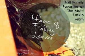 The sight of falling leaves is magical to behold!