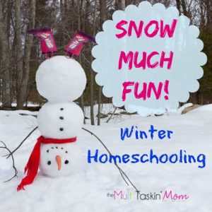Snow-much-fun