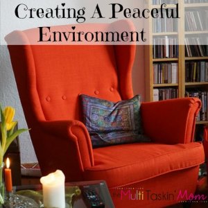 Are you looking for ways to create a peaceful environment in your home? Then we just may be able to help.