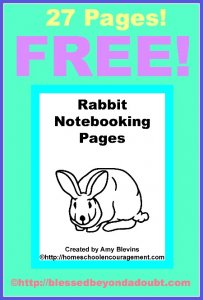 RabbitNotebookingPages-Pin