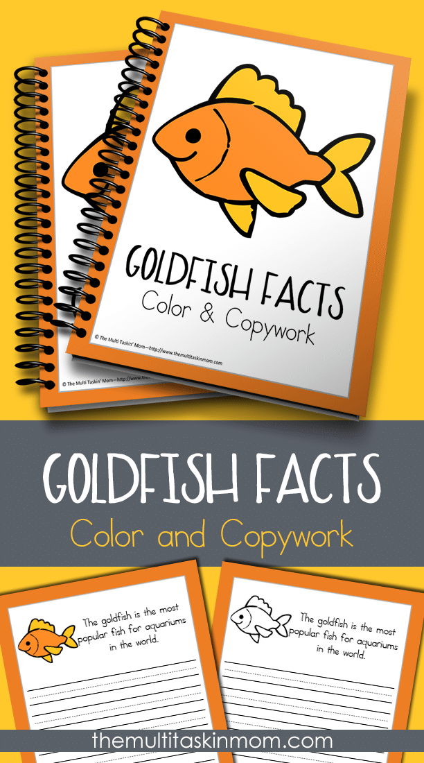 Goldfish Facts Color and Copywork for all ages