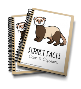 Ferrets Color and Copywork