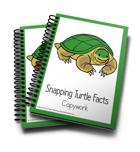 This Snapping Turtle Copywork Pack is perfect for your little learners.